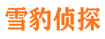 鲁山寻人公司